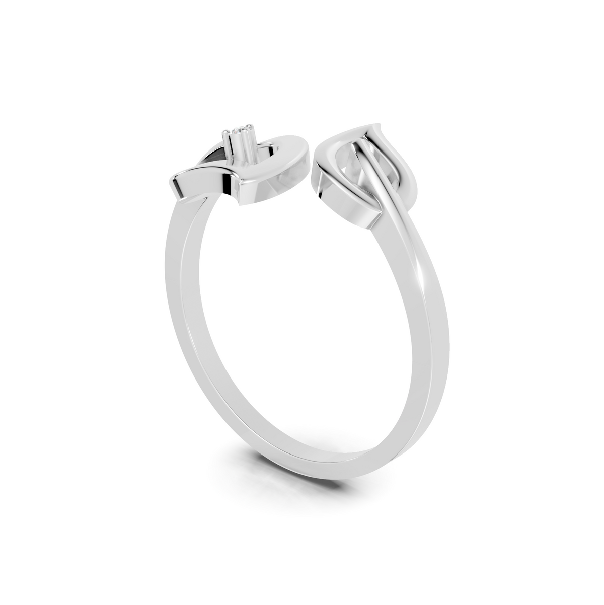 RING_45_WG_30.png